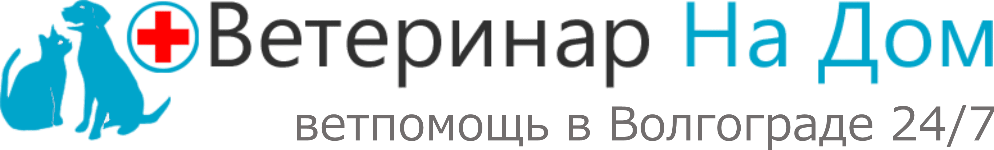 Ветеринар На Дом — Волгоград